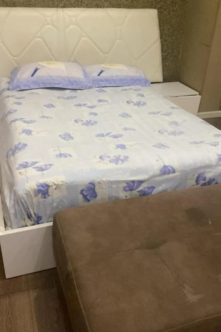 Apartment In The Center Baku
